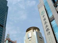 農行出手讓進博會采購商任性買，離岸轉手買賣也正躍躍欲試……