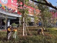 六天進博會,“四葉草”里“紅白藍黃”四種顏色傳遞上海醫療溫度 六天進博會,“四葉草”里“紅白藍黃”四種顏色傳遞上海醫療溫度