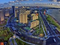 世博大道改建工程即將啟動，周邊區域交通組織將調整