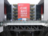 第二屆進博會“一對一”洽談升級,首設視頻專區 第二屆進博會“一對一”洽談升級,首設視頻專區