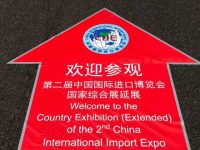 進博會閉幕后的國家展好玩嗎?明星展品都在,還有專屬“彩蛋”! 進博會閉幕后的國家展好玩嗎?明星展品都在,還有專屬“彩蛋”!