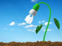 遭遇“天花板”？上海專門為這個新興產業成立服務平臺