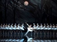 年年《天鵝湖》，始終看不厭，它的魔力在哪里？