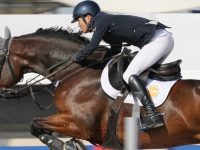 金山城市沙灘迎來全國最高級別馬術賽事，景觀體育再添美麗一筆