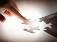 上海8萬多農民合作社成員有啥門檻，可享哪些優惠，且看這部法