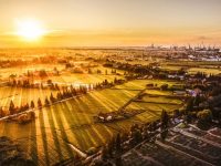 村里有了微型“物業公司”，老人要排電線、刷墻面再也不用愁