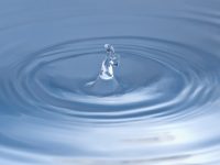 上海1.88萬條劣Ⅴ類河道，治理兩年后還剩多少？這個結果出人意料