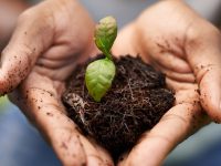 進駐上海四個區后，這些督察組今天集中亮相，專查“綠水青山”