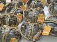 西楚霸王故里挑戰大閘蟹“鄙視鏈”,水清個大不甘心穿“馬甲” 西楚霸王故里挑戰大閘蟹“鄙視鏈”,水清個大不甘心穿“馬甲”