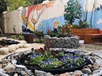 上海有個小區改造后，居民每天都著急回家“種花種菜、養魚斗蝦”