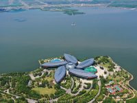 陳永亮：臨港新片區應聚焦高端制造與智能制造，引領長三角結構性改革