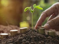 首家外資獨資保險控股公司在滬開業，外資險企加速布局中國市場