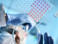 復旦教授：科創中心建設要有科學精神，不是蓋兩座大樓就能建成