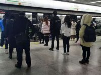 進入復工第三周，上海市內交通“忙”起來了嗎？