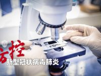 入住賓館需一律測體溫并登記健康狀況，上海旅游住宿業落實疫情防控工作規范