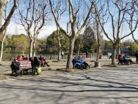 83座城市公園今開放，居民都出來孵太陽，楊浦公園游客量破萬