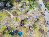 42.75萬!一天游客量超過周末兩天,多座公園調整客流上限 42.75萬!一天游客量超過周末兩天,多座公園調整客流上限