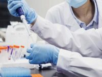 全球制藥巨頭“時間軸”一天未停,上海生物醫藥業近100%復工 全球制藥巨頭“時間軸”一天未停,上海生物醫藥業近100%復工