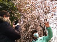 馳援武漢的上海飛行員本想“默默無聞”,可園丁的這個動作讓人動容 馳援武漢的上海飛行員本想“默默無聞”,可園丁的這個動作讓人動容