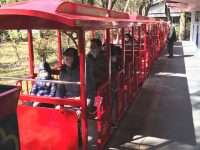 39萬人次!上海公園恢復開放首個周末游客多,明天再開放83座 39萬人次!上海公園恢復開放首個周末游客多,明天再開放83座