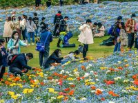 3天186.9萬人次!上海公園迎開春以來最大客流,入園人數上限會放寬嗎? 3天186.9萬人次!上海公園迎開春以來最大客流,入園人數上限會放寬嗎?