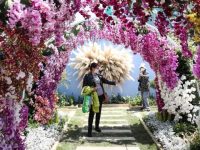 注意!這些公園“五一”限流,不預約將謝絕入園 注意!這些公園“五一”限流,不預約將謝絕入園