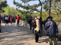 鶯歌燕舞時節,上海動物園里鳥兒筑巢、幼雛出殼的場面難得一見…… 鶯歌燕舞時節,上海動物園里鳥兒筑巢、幼雛出殼的場面難得一見……