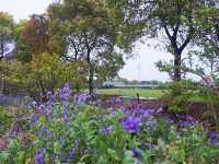 上海崇明島上送貨司機學EXCEL表格，原因竟是這個