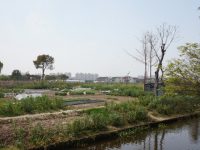 “悶”了這么久,上海這些人少景美能撒歡的景點都開了 “悶”了這么久,上海這些人少景美能撒歡的景點都開了