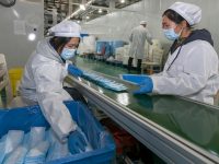 18歲上海三槍工業城緊急轉產口罩、防護服,未來怎么走?轉型方案創上海首次 18歲上海三槍工業城緊急轉產口罩、防護服,未來怎么走?轉型方案創上海首次