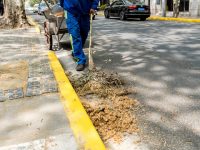 治理這種“雪”，上海啟動“臨床試驗”，三個區20多組對象試藥