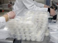 “備胎上位”、線上帶貨，上海中小微企業面對疫情這么自救