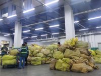 空運防疫郵件改走“義新歐”中歐班列，上海寄往海外的口罩正改郵路……