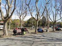 兼顧溫度和安全，今年24小時公園增至164座，但“草坪電影”暫停舉行