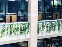 “520”在上海,這里的約會最浪漫 “520”在上海,這里的約會最浪漫