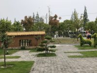 上海這個區開了場大會，一個小村莊成為人們“觀摩”的對象