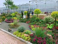 明年花博會有了“暖場賽”,10個花境作品在崇明爭奇斗艷 明年花博會有了“暖場賽”,10個花境作品在崇明爭奇斗艷