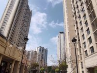 發生了什么？上海這個高檔國際社區對街道居委“閉門”十多年后，敞開了“大門”