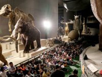 夜場門票6.6折！上海科技館、上海自然博物館“博物館奇妙夜”明日開啟