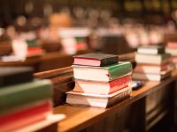 上海書展明日開幕，相關地鐵站何時客流較大？自駕前往要注意什么？攻略來了