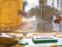 上海規劃“南北加一島”，保障未來30年這個領域的穩定