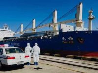 從丹麥橫穿極地直達上海，臨港新片區迎來首艘北極航線班輪