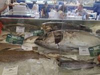 2020年全球首場大型水產海鮮展開幕,每批次展品須經核酸檢測 2020年全球首場大型水產海鮮展開幕,每批次展品須經核酸檢測