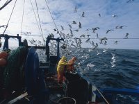 上海首創海洋漁業捕撈氣象預警標準，服務效益預計可占漁民總收益的35%