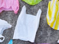 最新塑料污染治理意見出臺，上海市民應該怎么做？最全攻略來了