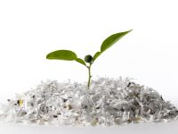 上海出臺27條創新舉措，58件生態環境輕微違法違規案件免于處罰