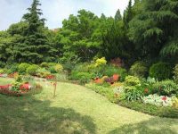 上海已有406座城市公園，今年就多了55個新面孔