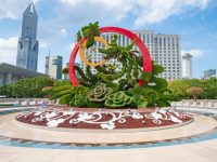 上海在街頭擺出1239萬盆花卉,人民廣場“飛”來兩只鳳凰,都為了這件事 上海在街頭擺出1239萬盆花卉,人民廣場“飛”來兩只鳳凰,都為了這件事