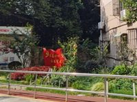 小區太小沒人管、物業不給力怎么辦?上海這個街道探索“小小區”合并升級版 小區太小沒人管、物業不給力怎么辦?上海這個街道探索“小小區”合并升級版