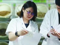 把中藥放在“云端”，“身邊”的中醫帶來實打實的便利